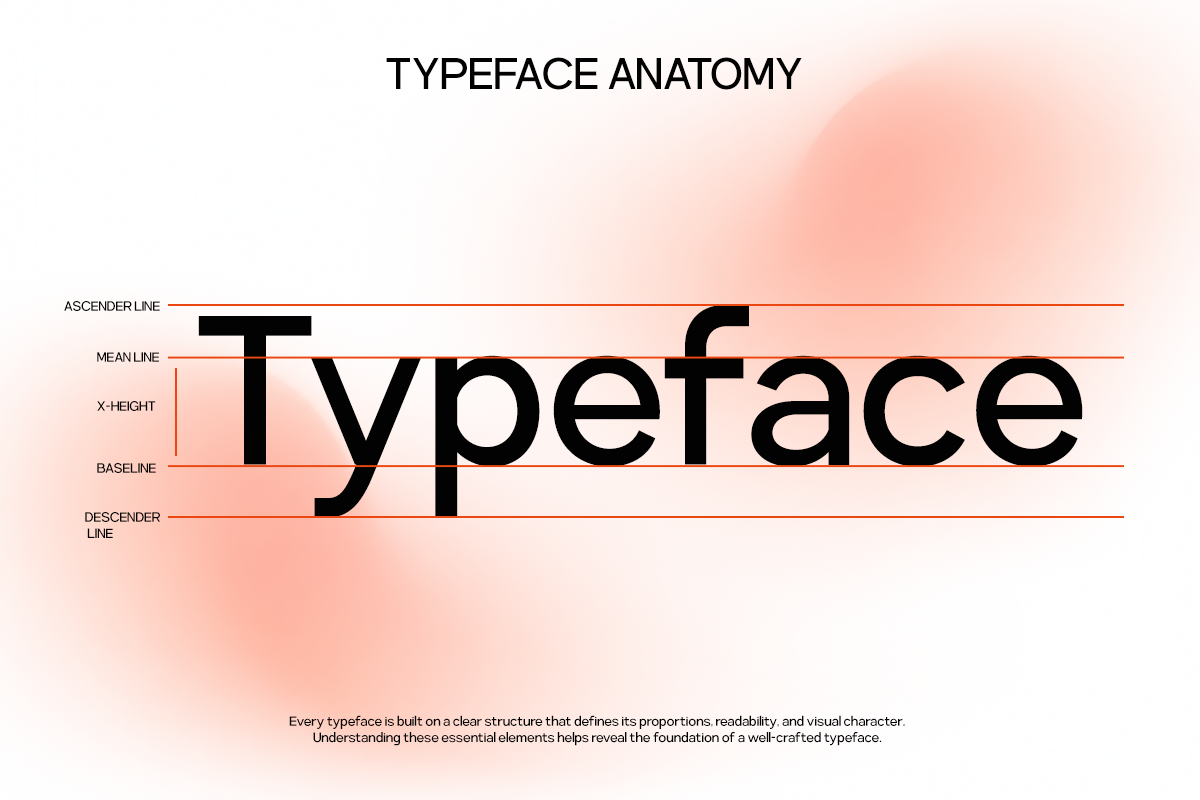 Typeface anatomy diagram showing ascender, mean line, x-height, baseline, descender with labeled guide lines