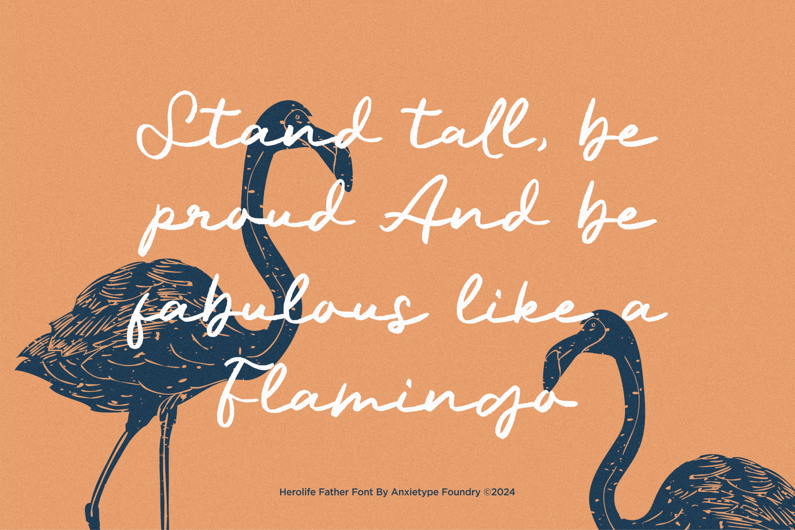 Palmera Dirham font by Anxietype Foundry