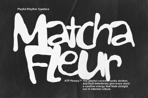 Penary font by Typeparties