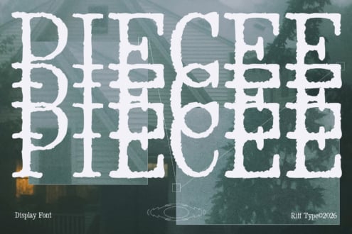 Riff Type display font with chunky serif letterforms over moody forest background