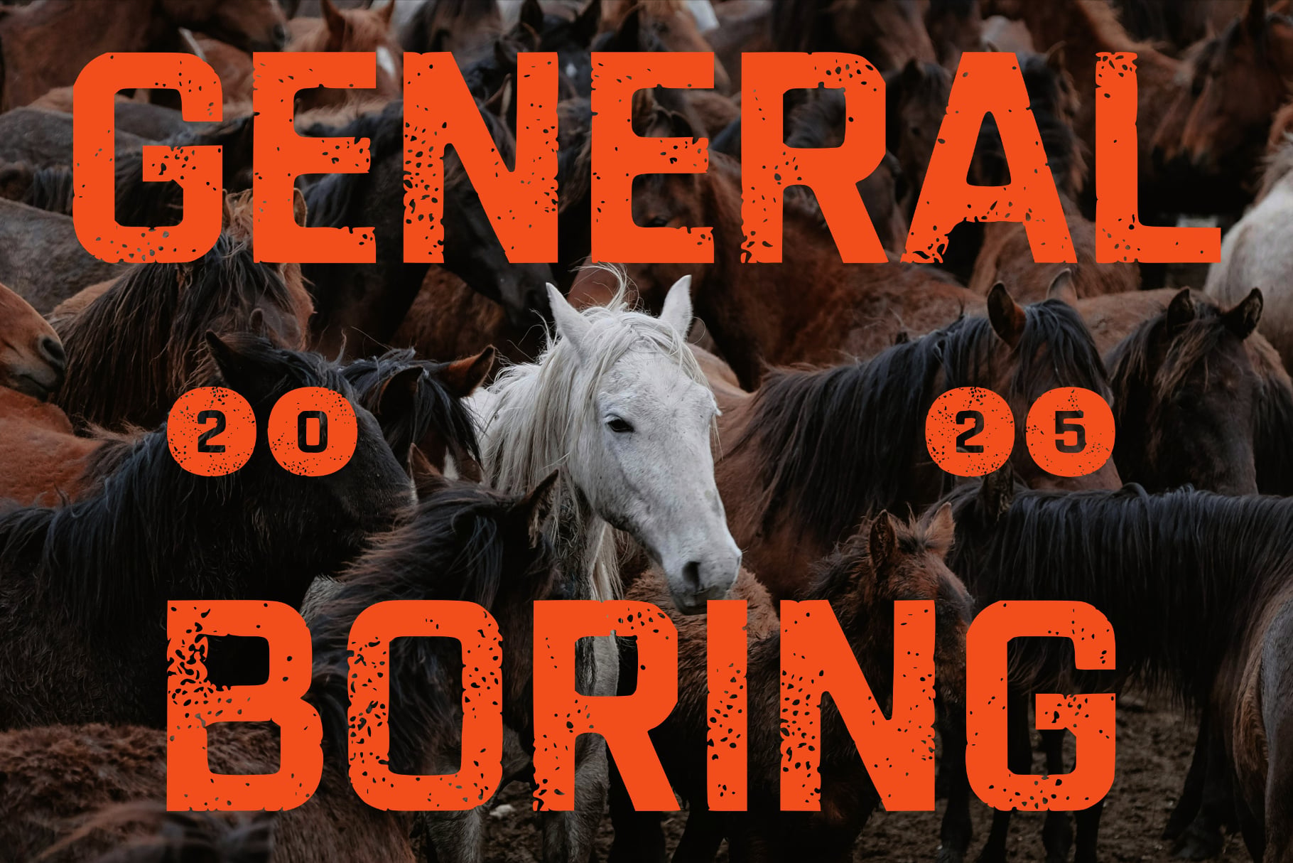 White horse surrounded by dark brown horses with bold orange speckled typography overlay