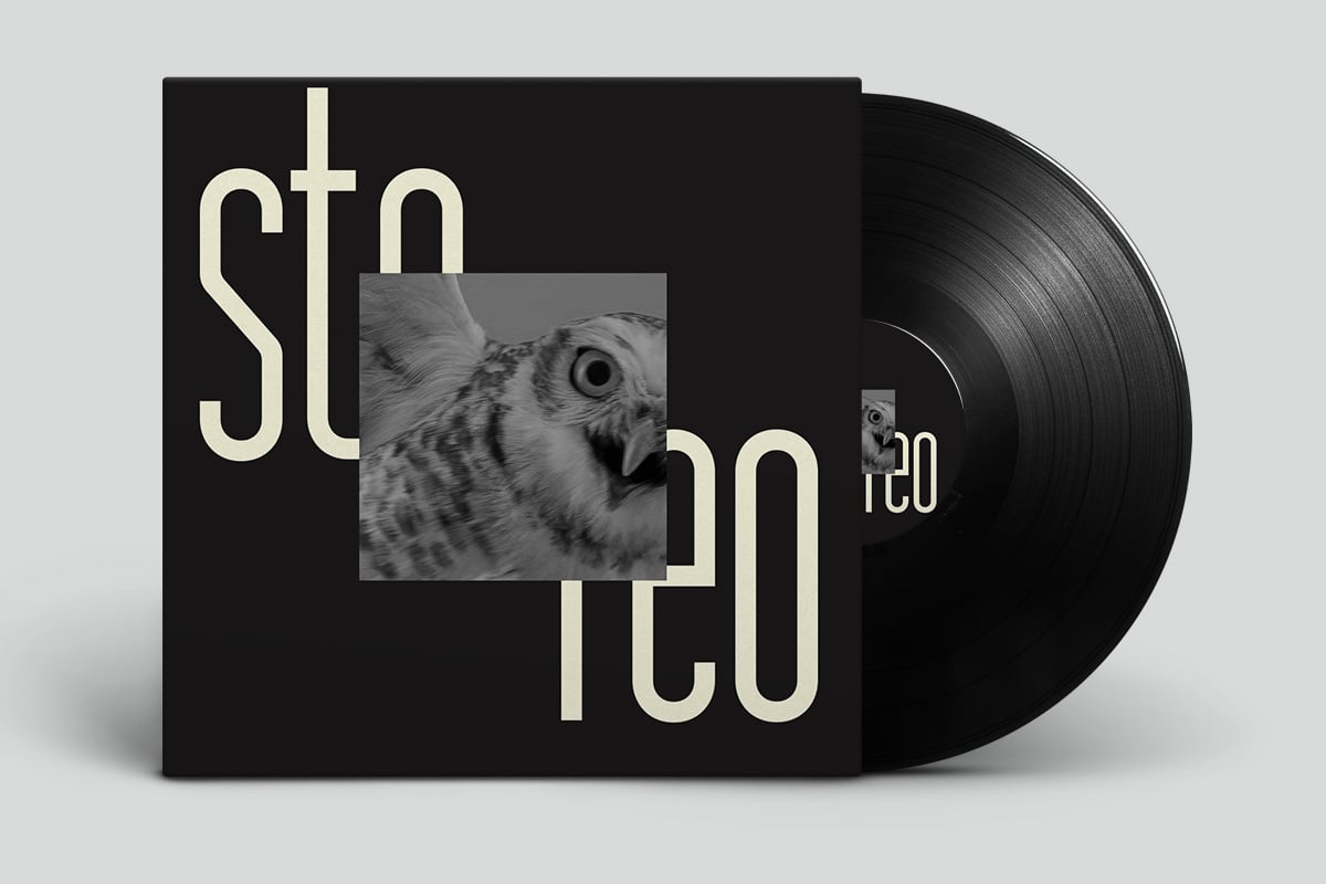 Vinyl record cover mockup with cream serif type, black background, owl photo cutout, disc visible on right side