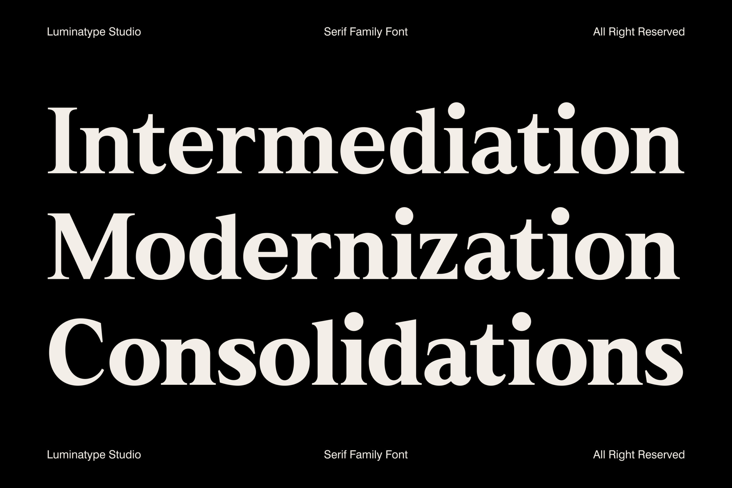 Serif font display with elegant white letterforms on black showing "Intermediation Modernization Consolidations"