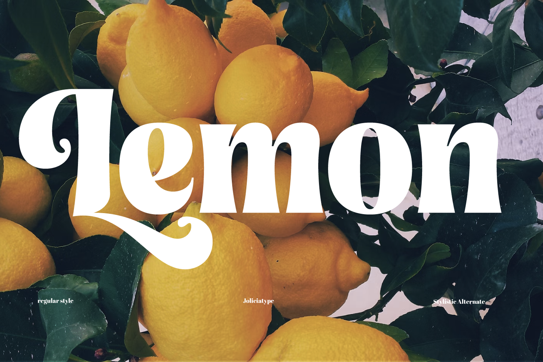 Lemon serif typeface displayed over fresh citrus fruit with green foliage