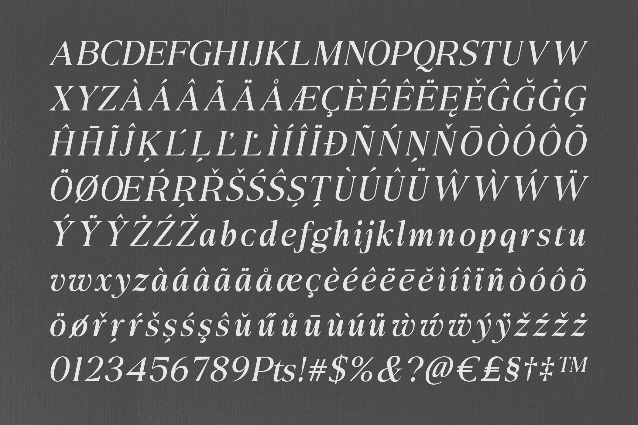 Elegant serif font with extensive language support, diacritics, numbers, symbols on dark background