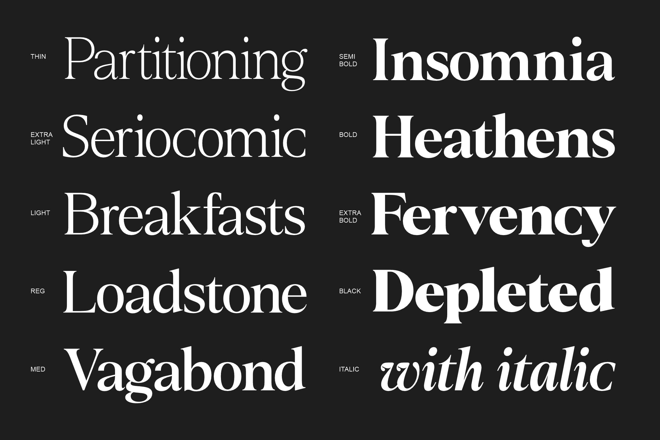 Serif font family showing multiple weights from thin to black, plus italic variation on dark background