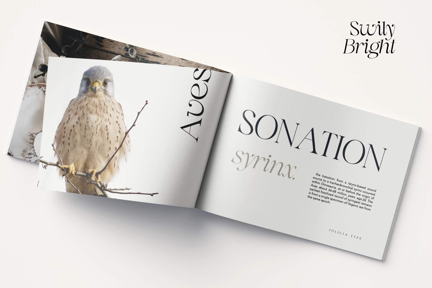 Open magazine mockup showing hawk photo on left page with Ages text, Sonation definition on right page with Jolicia Type branding