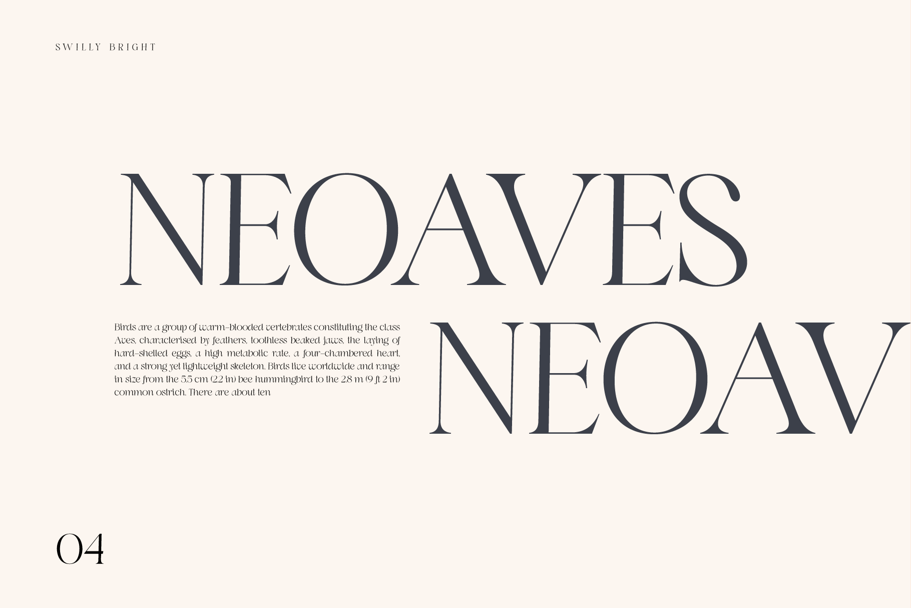 Swilly Bright serif typeface displaying "Neoaves Neoavi" in elegant tall caps with body text below