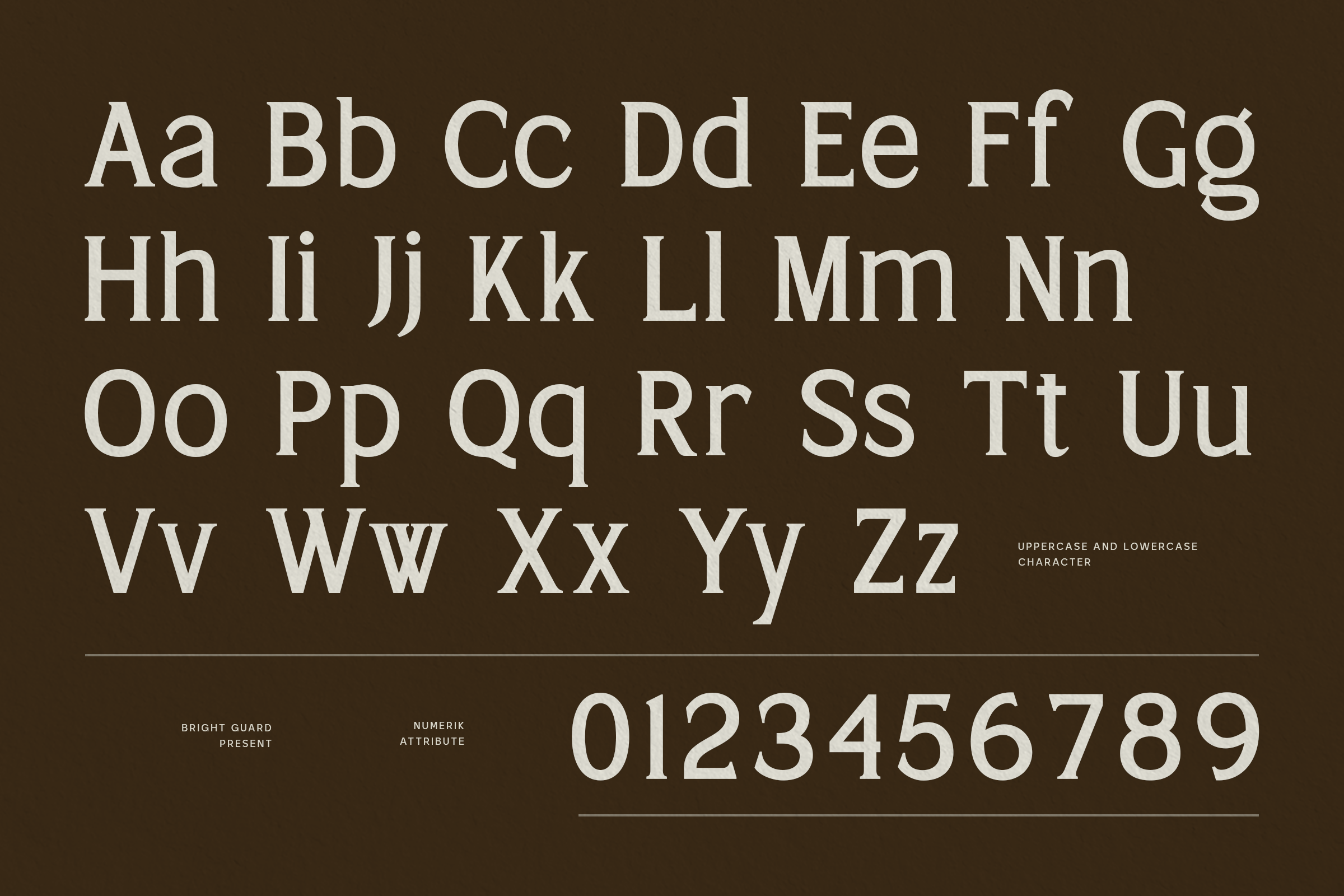 Serif font specimen showing full alphabet with numbers on dark brown background