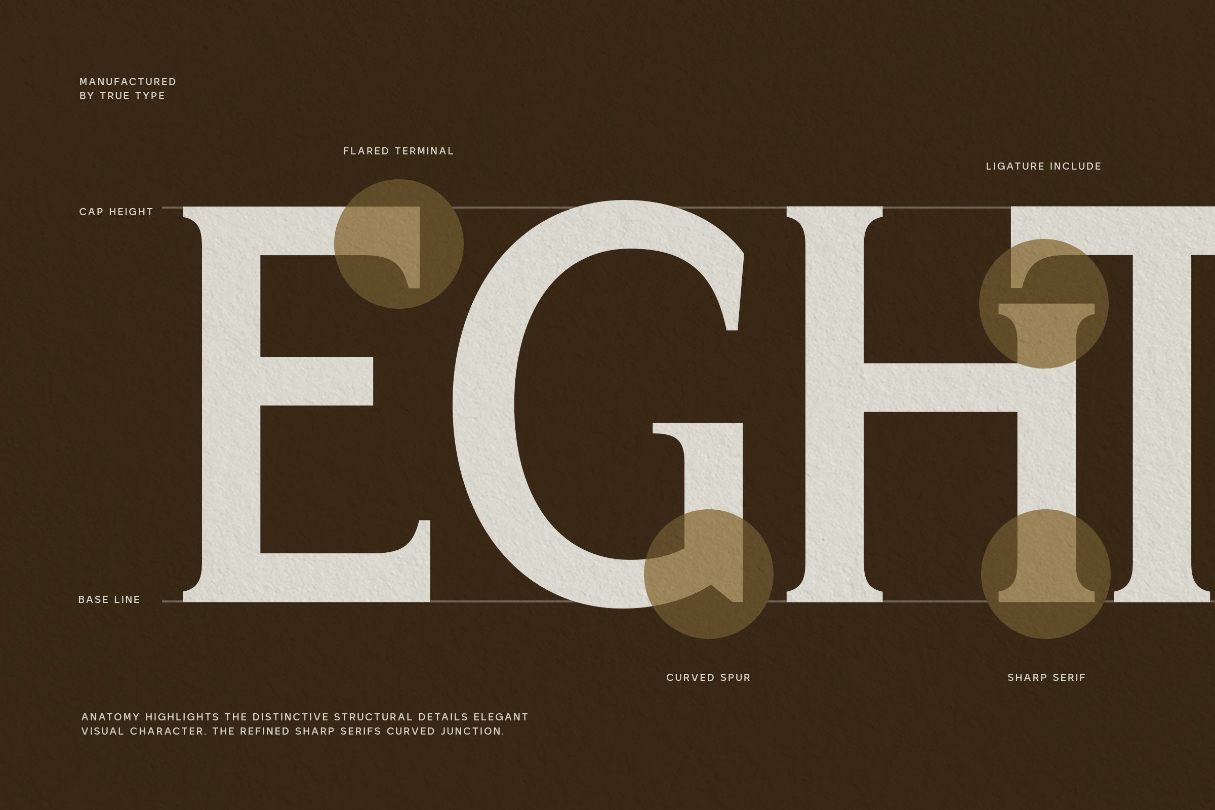 Serif typeface anatomy diagram showing flared terminals, cap height, ligature, curved spur, sharp serif details in cream over brown background