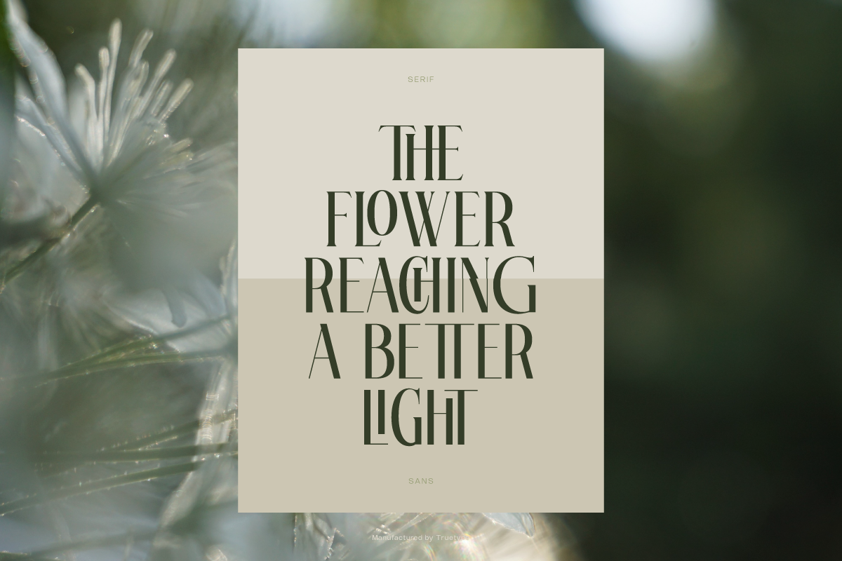 Cream poster with serif typography over blurred green plant background