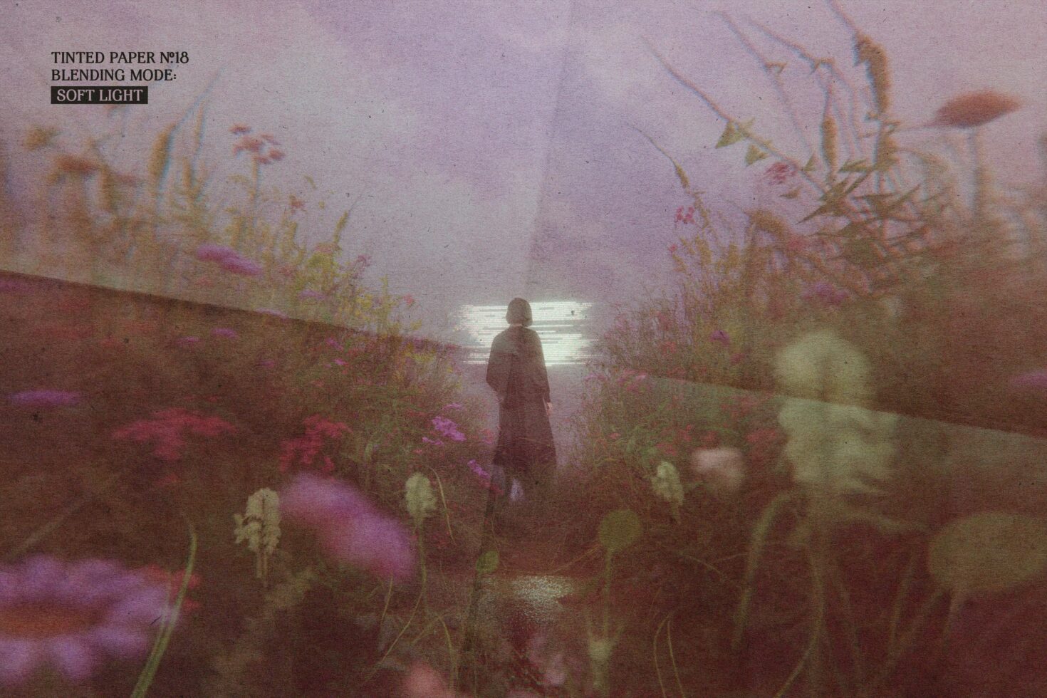 Moody figure standing in overgrown flower field with soft light blending, dreamy vintage aesthetic throughout