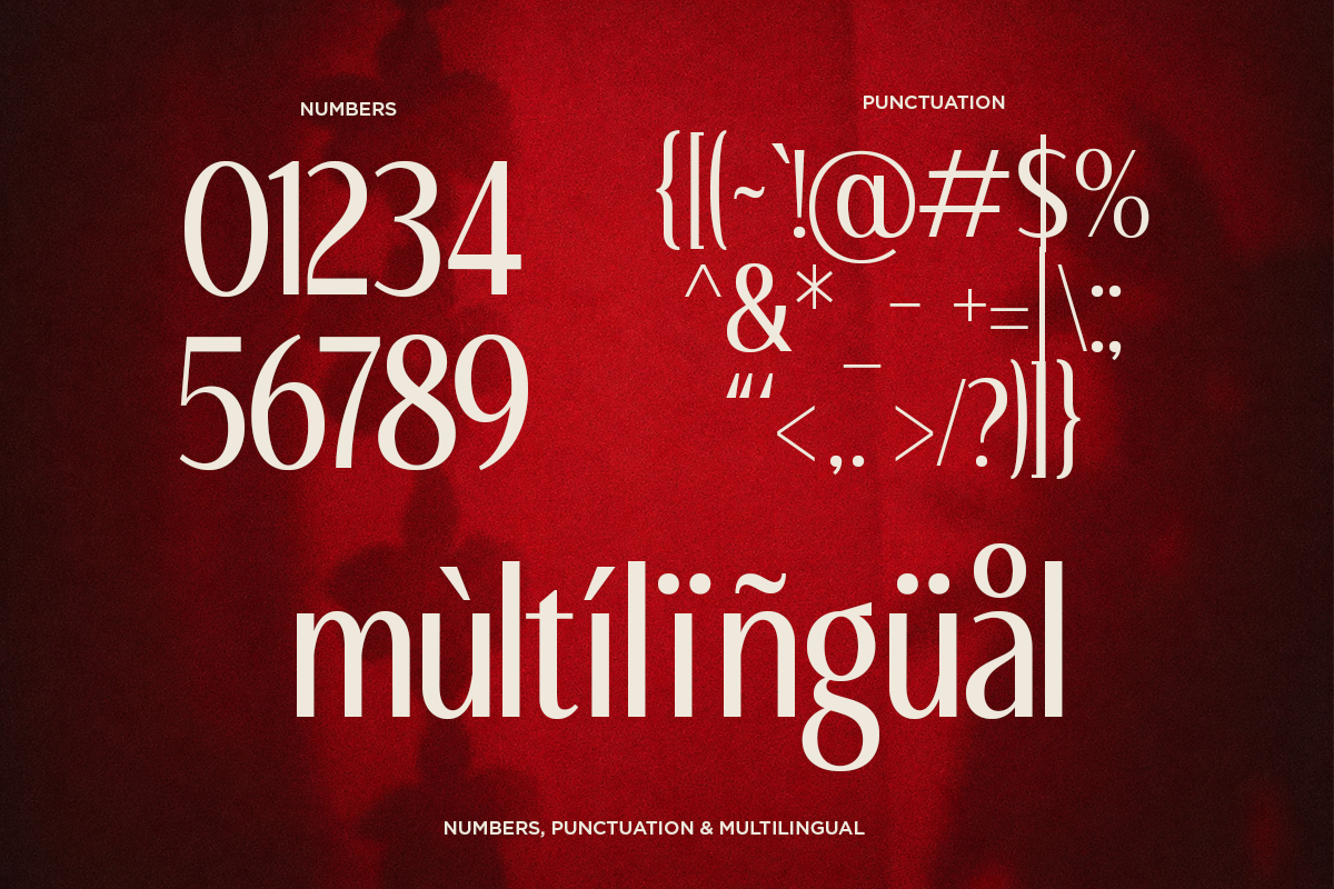 Elegant serif font displaying numbers, punctuation marks, plus multilingual characters on deep red textured background