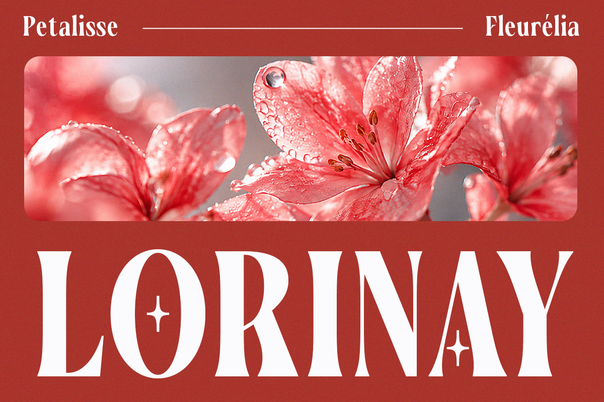 Dewy pink flowers with water droplets on crimson background, Petalisse Fleurélia Lorinay design