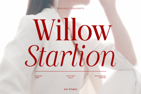 Willow Starlon serif font in deep red with elegant italic styling over soft portrait background