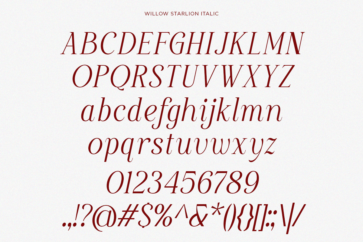 Willow Starlion Italic typeface showing full character set in burgundy on cream background